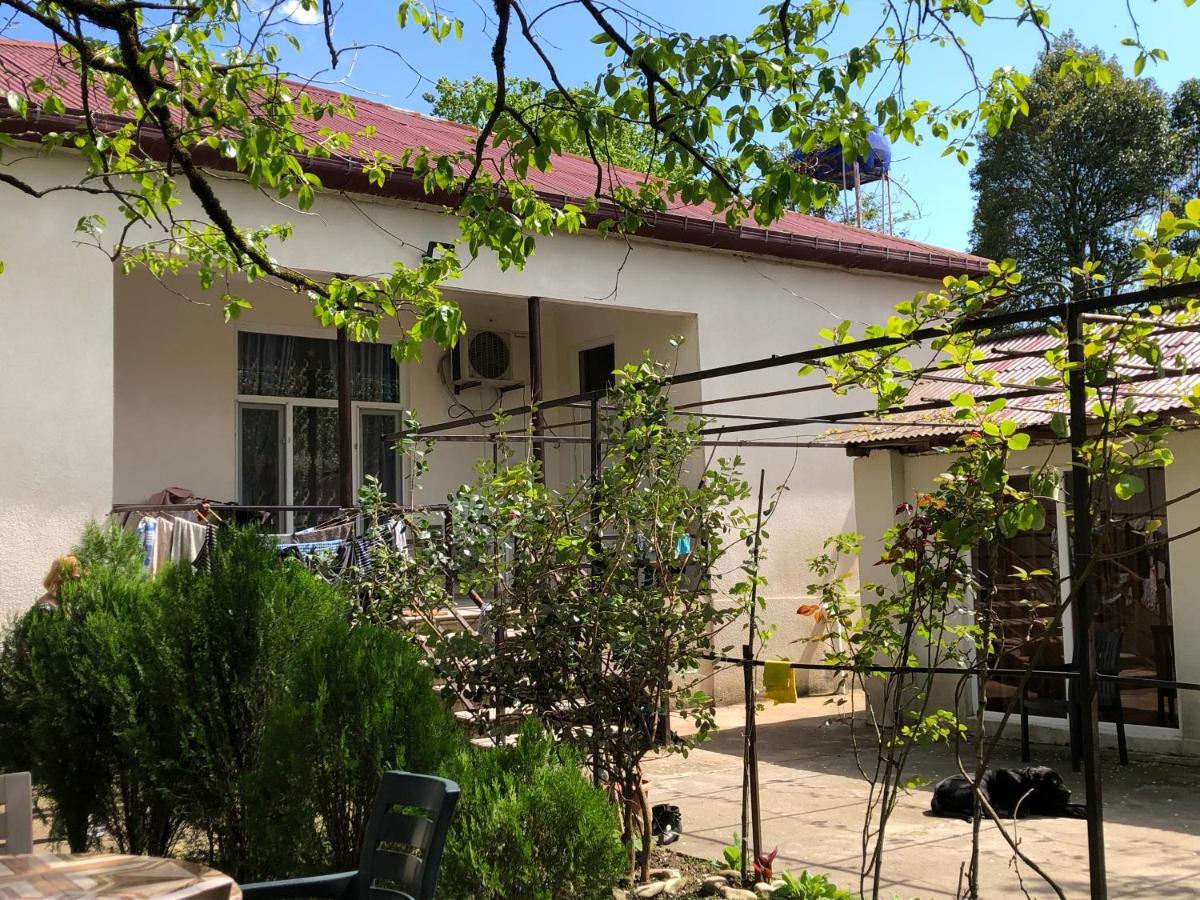 Martvili Guesthouse Екстер'єр фото